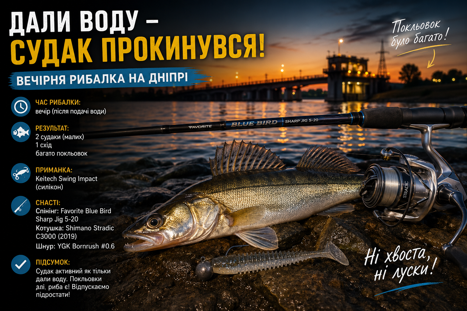 🎣 Судак на Дніпрі в липні: багато покльовок, Keitech Swing Impact у справі
